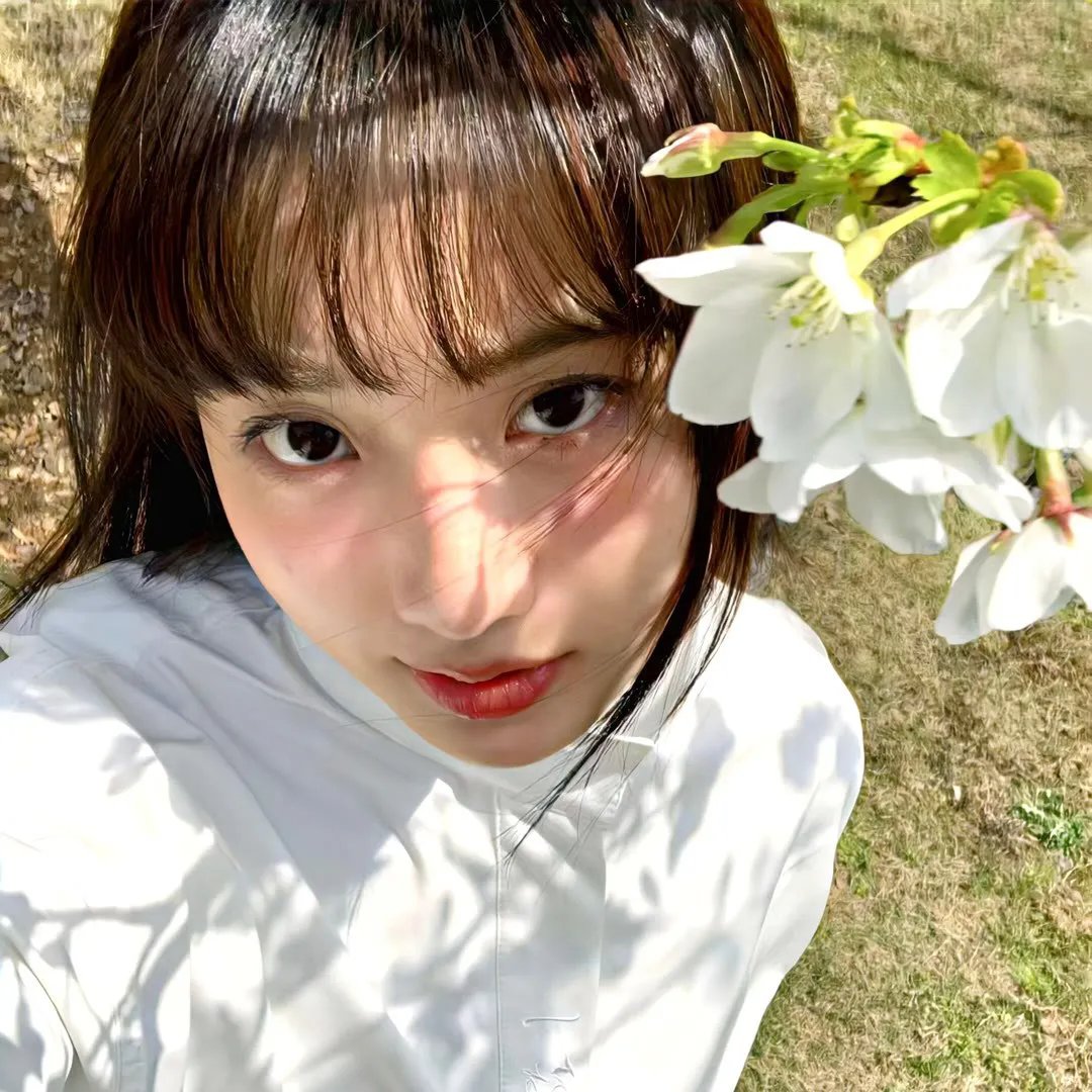 大笨蛋